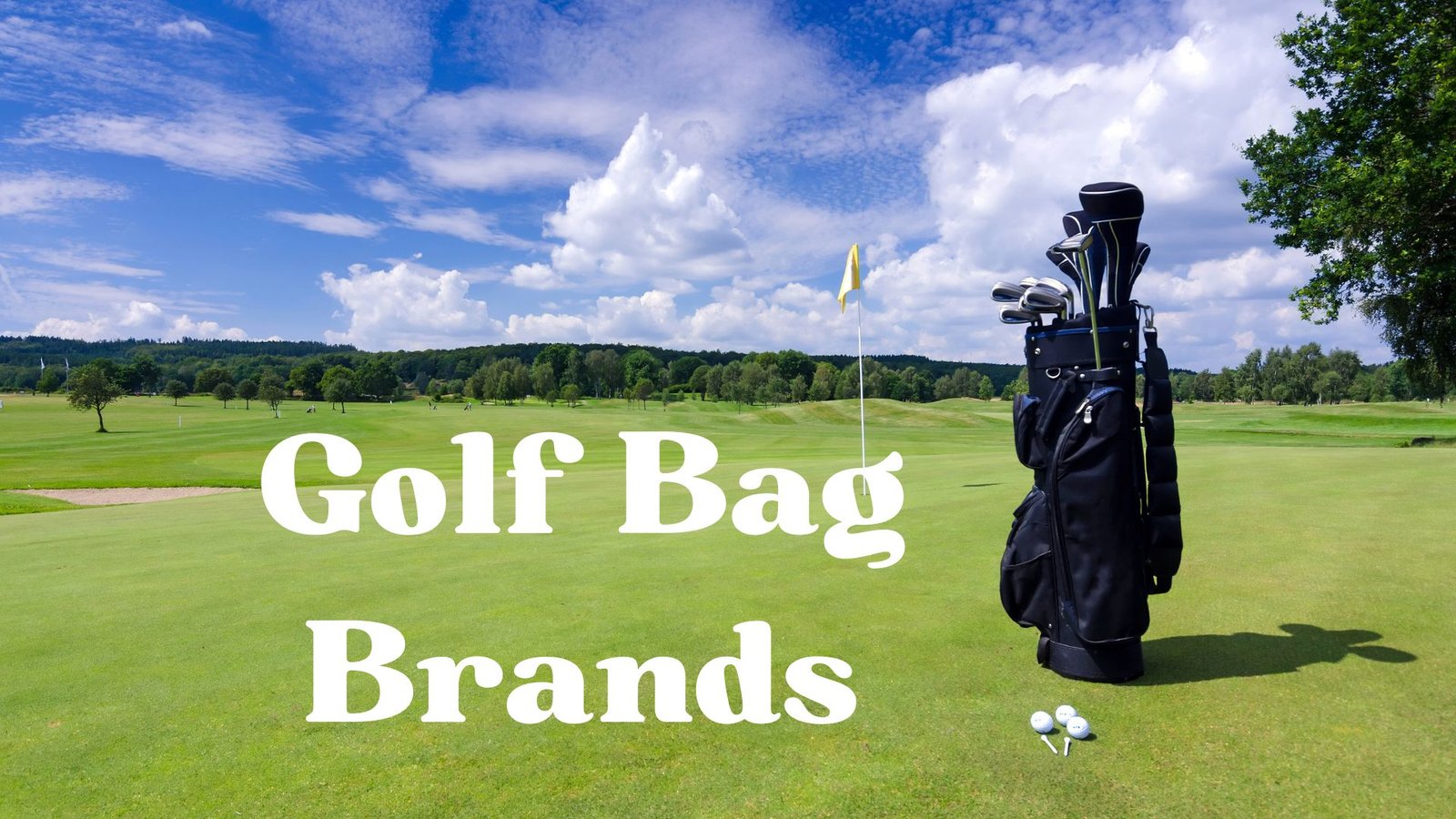 Discover the Top Golf Bag Brands Pro Golf Tips